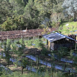 ANG_0690 Sta Helena javi